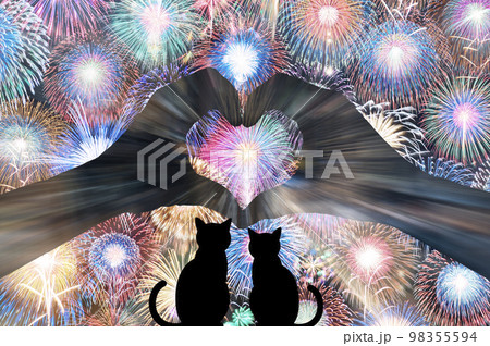 花火を見つめるネコのカップル 98355594