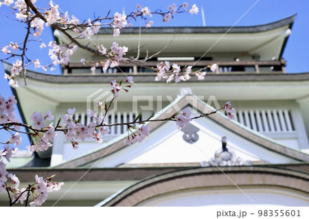 小牧市　満開の桜と小牧山城 98355601