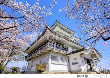 小牧市　満開の桜と小牧山城 98355603