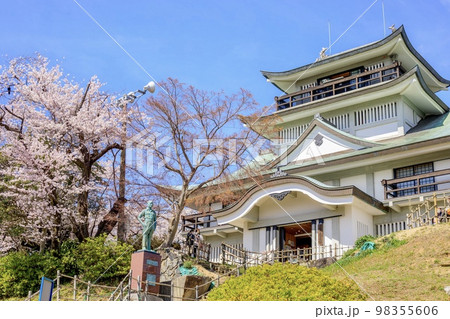 小牧市　満開の桜と小牧山城 98355606