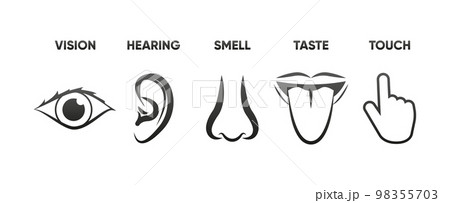 Icon set of five human senses sight, hearing, smell, taste, touch. The concept of human feelings. Simple line icons. Vector illustration. Icon set of five human senses sight, hearing, smell, taste, touch. The concept of human feelings. Simple line icons. Vector illustration. 98355703