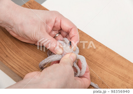 【ミドル主婦がスルメイカをさばく　トンビを外す】 98356940