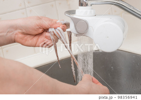 【ミドル主婦がスルメイカをさばく　ゲソを洗う】 98356941