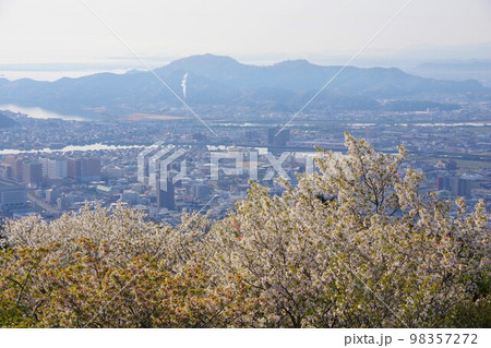 徳島県 桜の咲く眉山から日峰山方面を望む 徳島県 桜の咲く眉山から日峰山方面を望む 98357272
