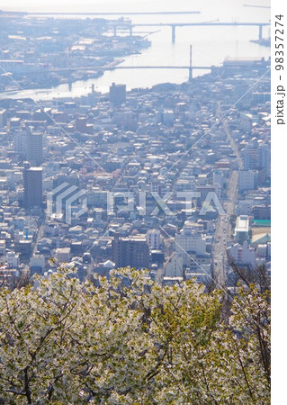 徳島市　桜の咲く眉山から末広大橋・昭和町方面を望む 98357274