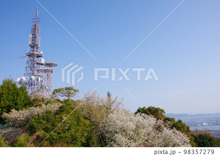 徳島市 眉山山頂の桜と電波塔 徳島市 眉山山頂の桜と電波塔 98357279