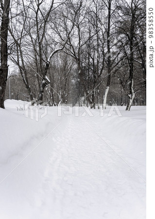 Winter. Snow. City park alley perspective. White way in cold snowy day Winter. Snow. City park alley perspective. White way in cold snowy day 98358550
