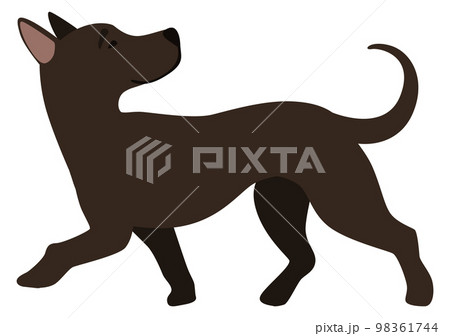 Funny black puppy walking. Dog side view Funny black puppy walking. Dog side view 98361744