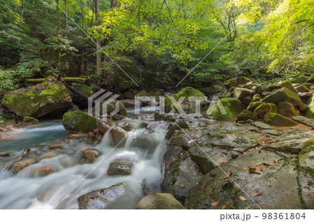 碧の渓谷　スッカン沢 98361804