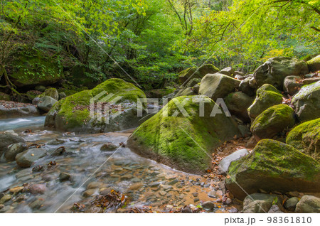 碧の渓谷　スッカン沢 98361810