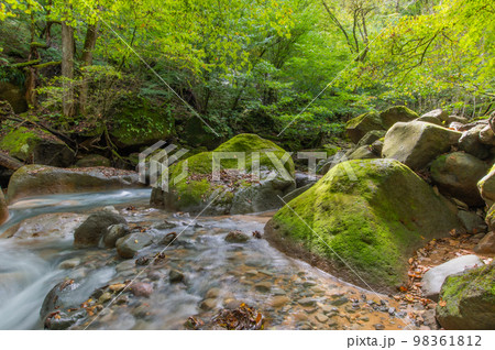 碧の渓谷 スッカン沢 碧の渓谷 スッカン沢 98361812