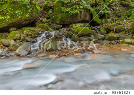 碧の渓谷　スッカン沢 98361823