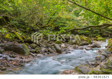 碧の渓谷 スッカン沢 碧の渓谷 スッカン沢 98361825
