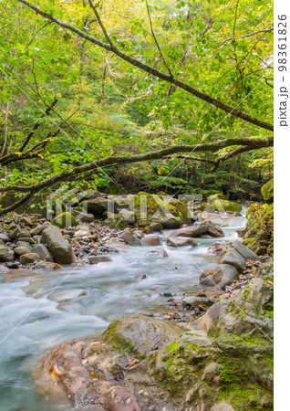 碧の渓谷 スッカン沢 碧の渓谷 スッカン沢 98361826