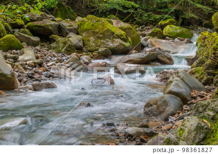 碧の渓谷　スッカン沢 98361827