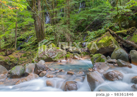 碧の渓谷　スッカン沢 98361846