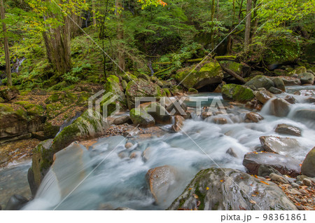 碧の渓谷 スッカン沢 碧の渓谷 スッカン沢 98361861
