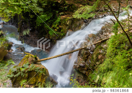 碧の渓谷 スッカン沢 碧の渓谷 スッカン沢 98361868