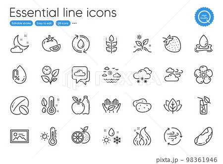 Travel sea, Apple and Fair trade line icons. Collection of Refill water, No alcohol, Snow weather icons. Water glass, Photo, Tomato web elements. Strawberry, Soy nut, Brazil nut. Vector Travel sea, Apple and Fair trade line icons. Collection of Refill water, No alcohol, Snow weather icons. Water glass, Photo, Tomato web elements. Strawberry, Soy nut, Brazil nut. Vector 98361946