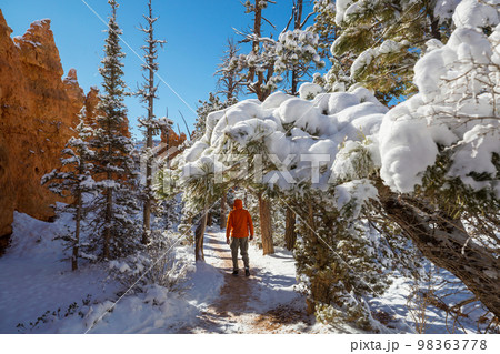 Hike in winter Bryce Hike in winter Bryce 98363778
