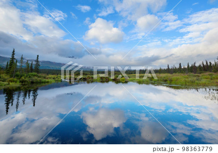 Lake in Alaska Lake in Alaska 98363779