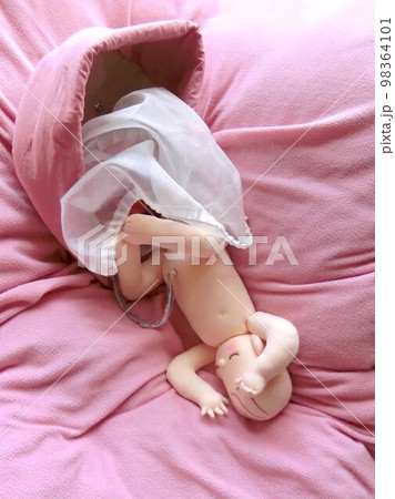 助産・看護・医療用　実物大胎児人形 98364101