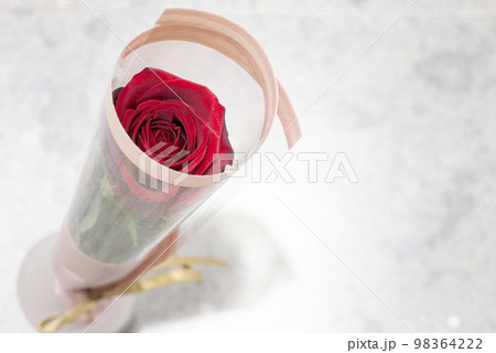 真っ赤な一輪のバラの贈り物 真っ赤な一輪のバラの贈り物 98364222