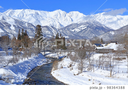 白馬の冬　快晴の大出公園と北アルプス 98364388