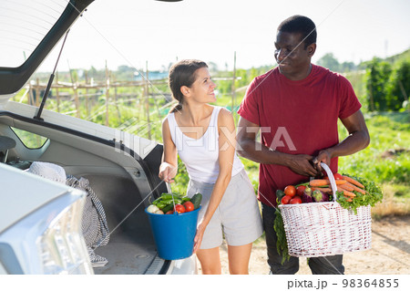 Couple packing harvested vegetables in car trunk Couple packing harvested vegetables in car trunk 98364855