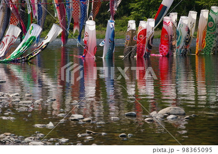 子供の日の風物詩 相模高田橋 約1200匹の鯉のぼり 準備が始まり川を泳ぎ天に舞い上がる3 子供の日の風物詩 相模高田橋 約1200匹の鯉のぼり 準備が始まり川を泳ぎ天に舞い上がる3 98365095