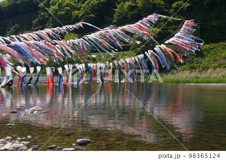 子供の日の風物詩 相模高田橋 約1200匹の鯉のぼり 準備が始まり川を泳ぎ天に舞い上がる16 子供の日の風物詩 相模高田橋 約1200匹の鯉のぼり 準備が始まり川を泳ぎ天に舞い上がる16 98365124