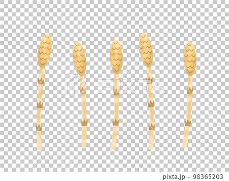 挿し絵などに使いやすい手塗り風の土筆をイメージしたイラスト 98365203