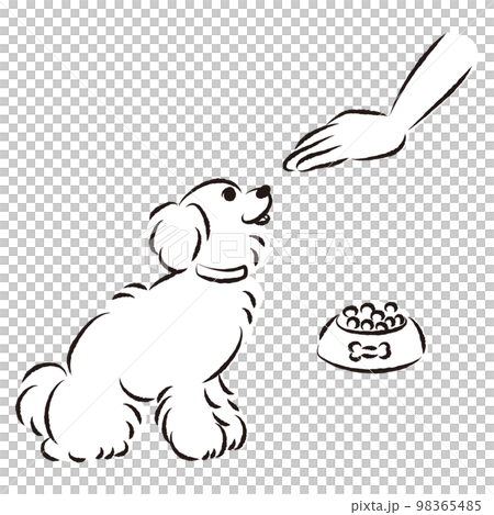 待てをする犬(ごはん・しつけ)白黒 待てをする犬(ごはん・しつけ)白黒 98365485