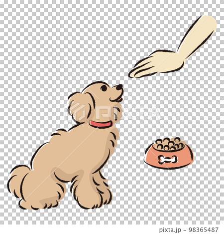 待てをする犬（ごはん・しつけ） 98365487