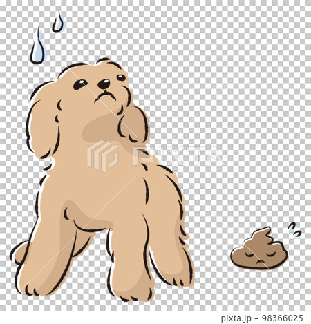 うんちをして困った表情の犬（トイレのしつけ） 98366025