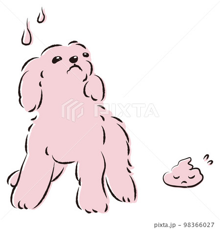 うんちをして困った表情の犬(トイレのしつけ) うんちをして困った表情の犬(トイレのしつけ) 98366027