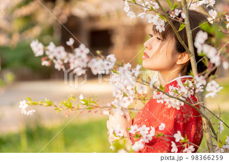 美しい日本女性 98366259