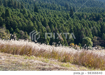阿蘇　米塚下園地周辺の風景 98366640