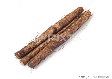 ごぼう ごぼう 98366856