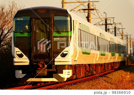 西日で赤く染まるE257系5500番台　特急早春成田山むさしの号 98366910