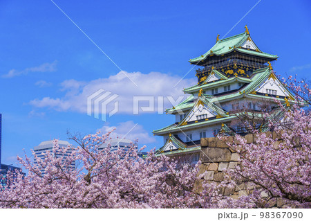 大阪城と西の丸庭園の満開の桜 98367090
