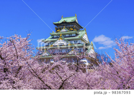 大阪城と西の丸庭園の満開の桜 98367093
