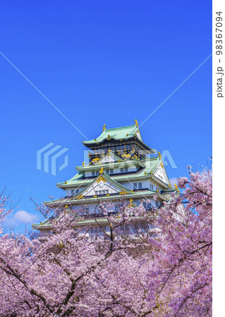 大阪城と西の丸庭園の満開の桜 98367094