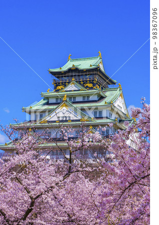 大阪城と西の丸庭園の満開の桜 98367096