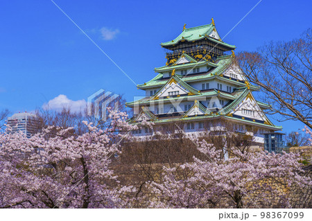 大阪城と西の丸庭園の満開の桜 98367099