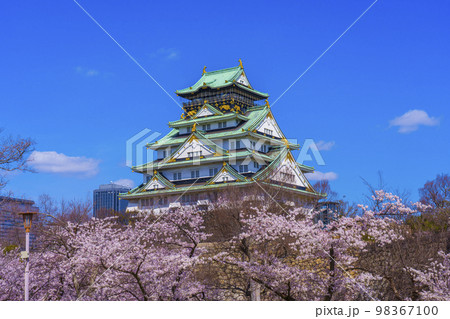 大阪城と西の丸庭園の満開の桜 98367100