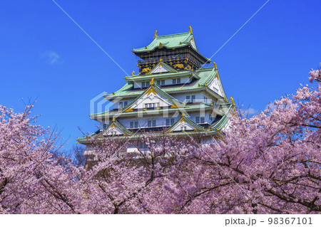 大阪城と西の丸庭園の満開の桜 98367101