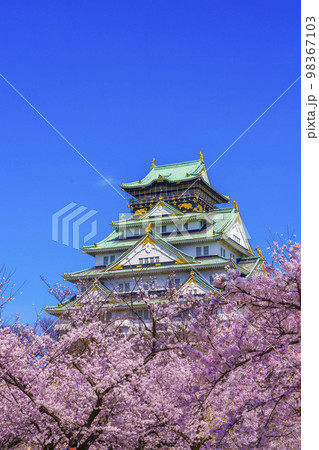 大阪城と西の丸庭園の満開の桜 大阪城と西の丸庭園の満開の桜 98367103
