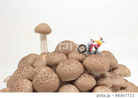 a Bike travel figure on brown shimeji Mushroom 98367721
