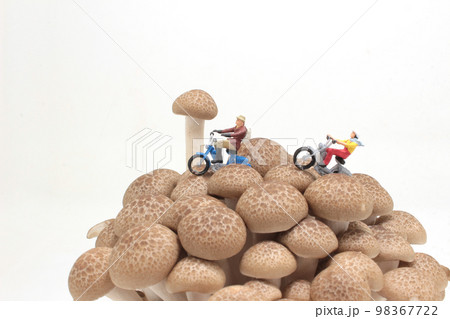 a Bike travel figure on brown shimeji Mushroom 98367722
